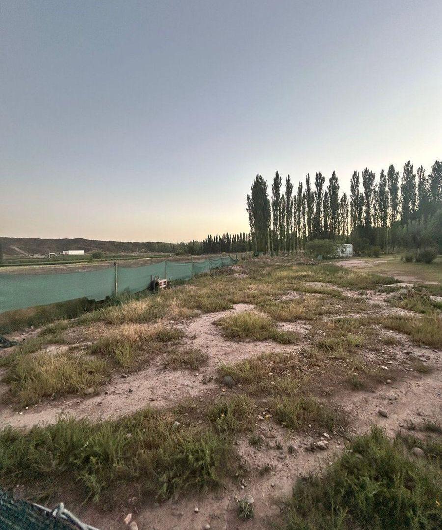 Foto de LOTE EN VENTA -PERDRIEL LUJAN DE CUYO, imagen 1