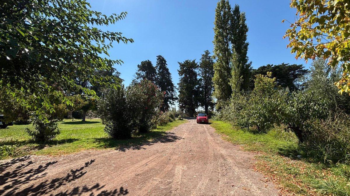 Foto de VENTA GRAN TERRENO 6000m2, VIDELA ARANDA, MAIPÚ, imagen 5