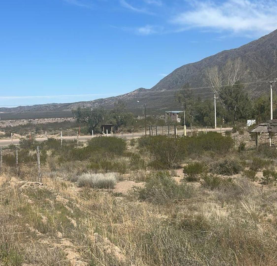 Foto de TERRENO, EXCELENTE OPORTUNIDAD! , LUJAN DE CUYO, imagen 4