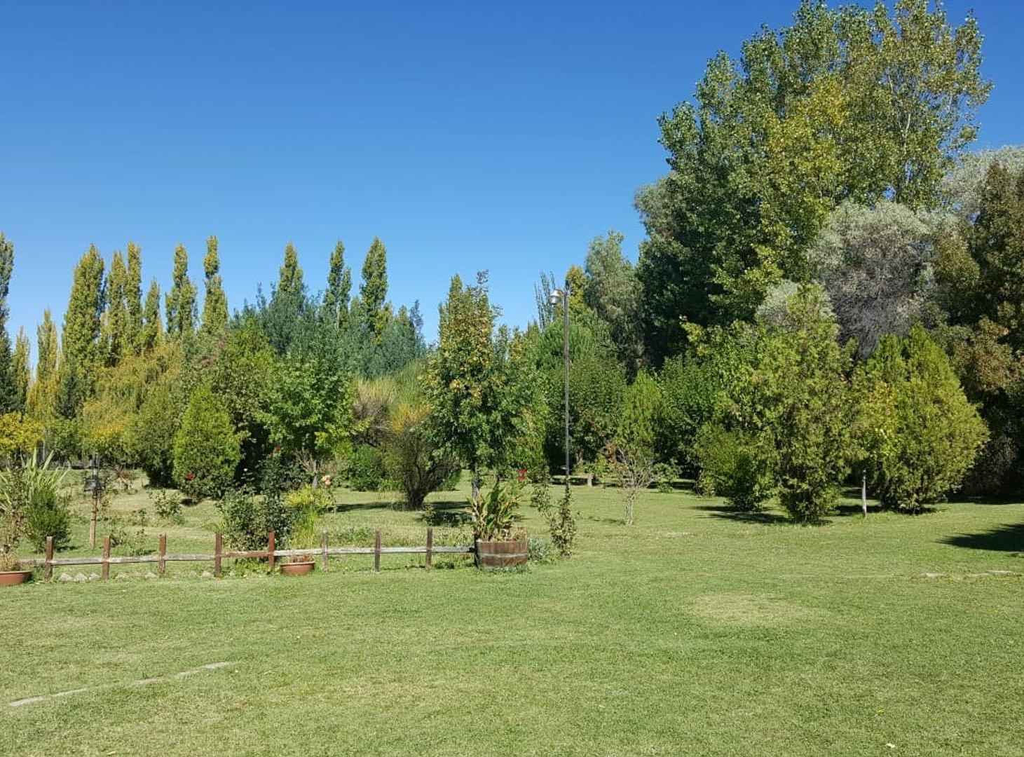 Foto de CASA QUINTA VILLA 25 DE MAYO, SAN RAFAEL, MENDOZA, imagen 4