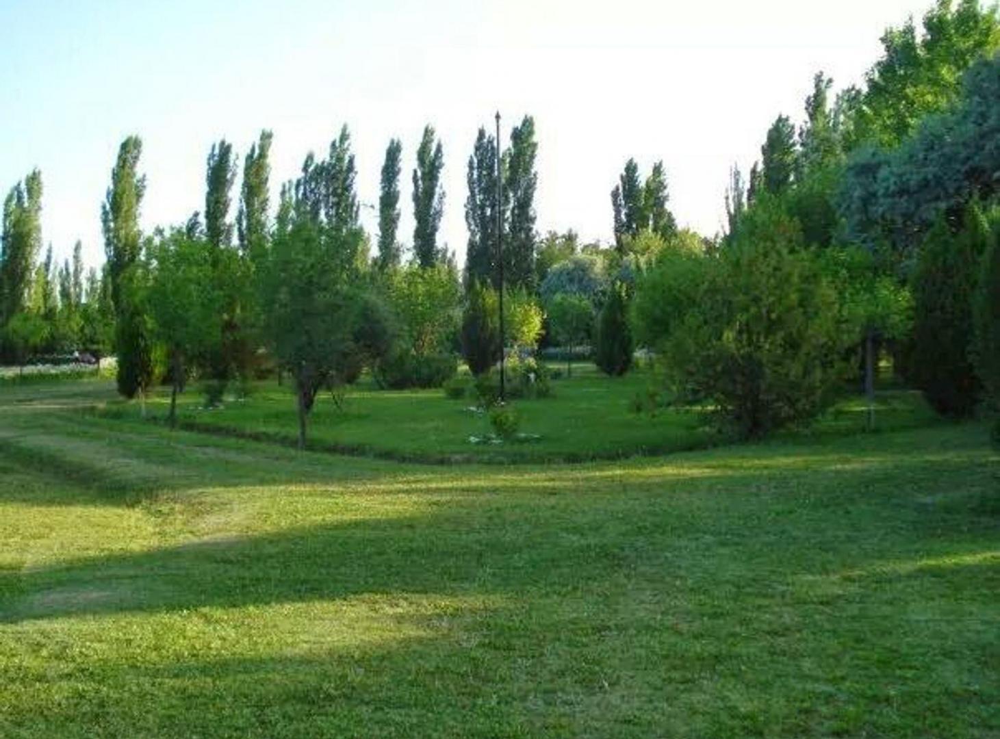 Foto de CASA QUINTA VILLA 25 DE MAYO, SAN RAFAEL, MENDOZA, imagen 3