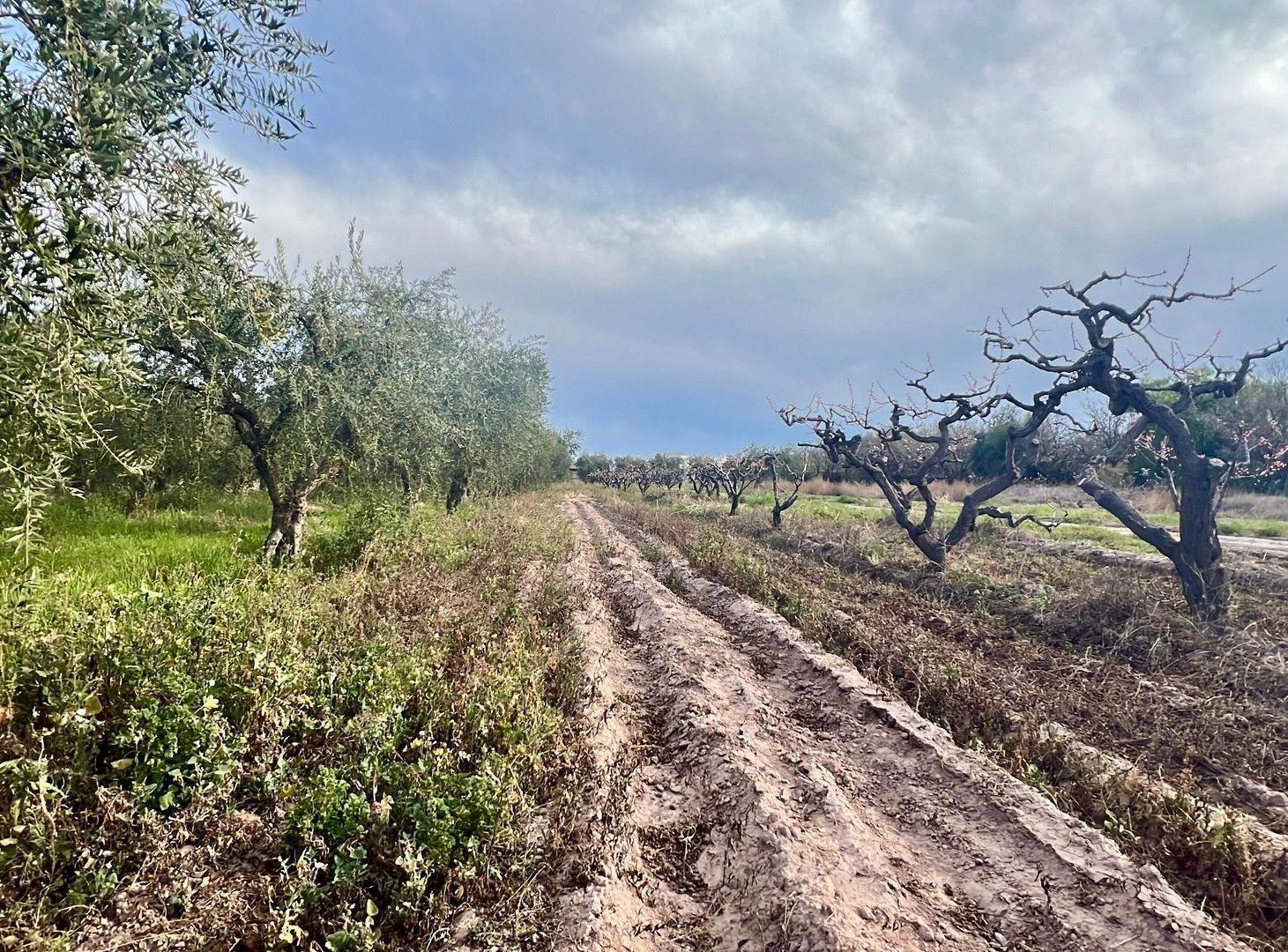 Foto de VENTA LOTE , EXCELENTE UBICACION ,V.CASTILLO MAIPU, imagen 2