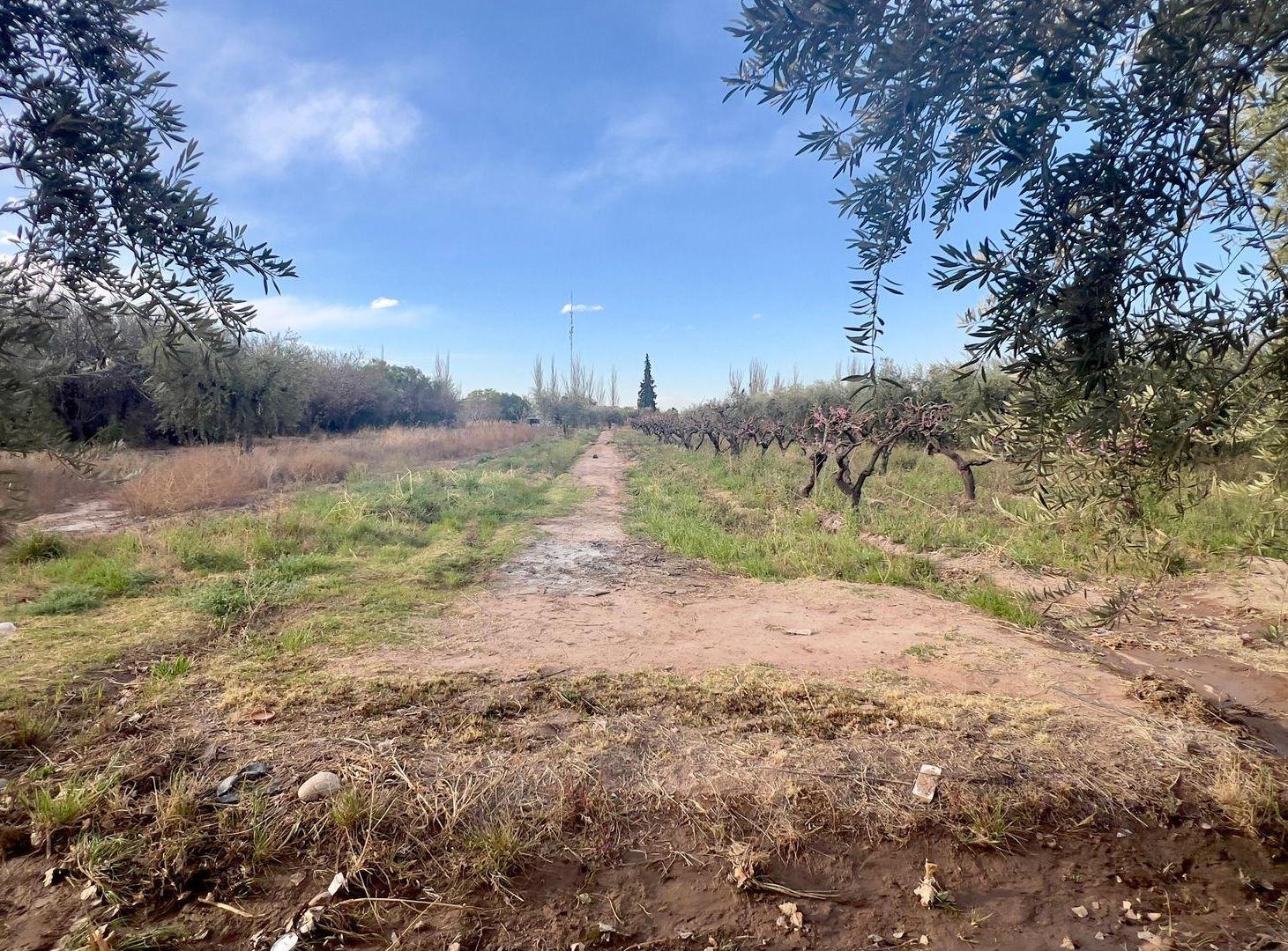 Foto de VENTA LOTE , EXCELENTE UBICACION ,V.CASTILLO MAIPU, imagen 3