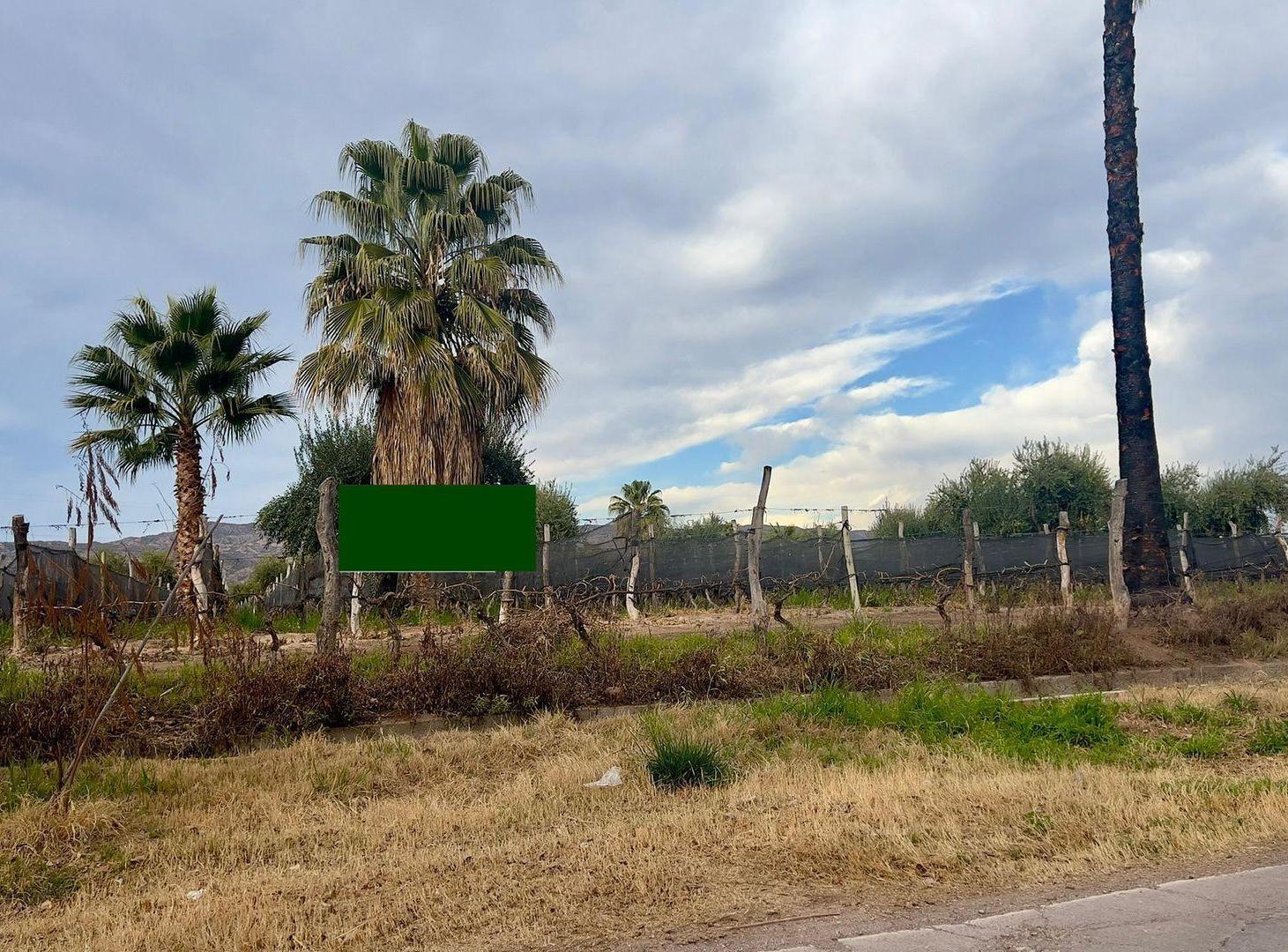 Foto de VENTA FINCA 27.000 m2, LUNLUNTA MAIPU, imagen 5