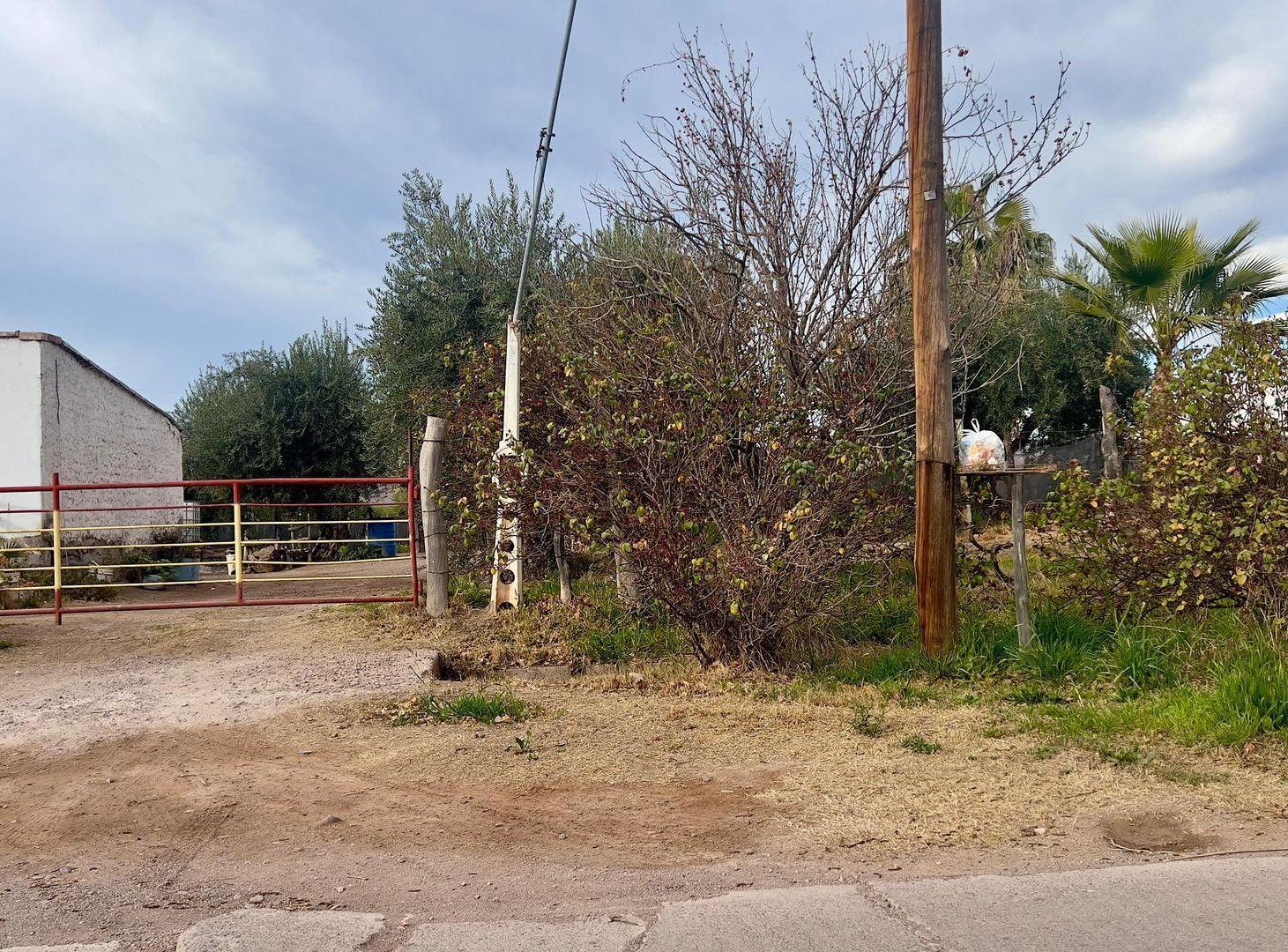 Foto de VENTA FINCA 27.000 m2, LUNLUNTA MAIPU, imagen 1