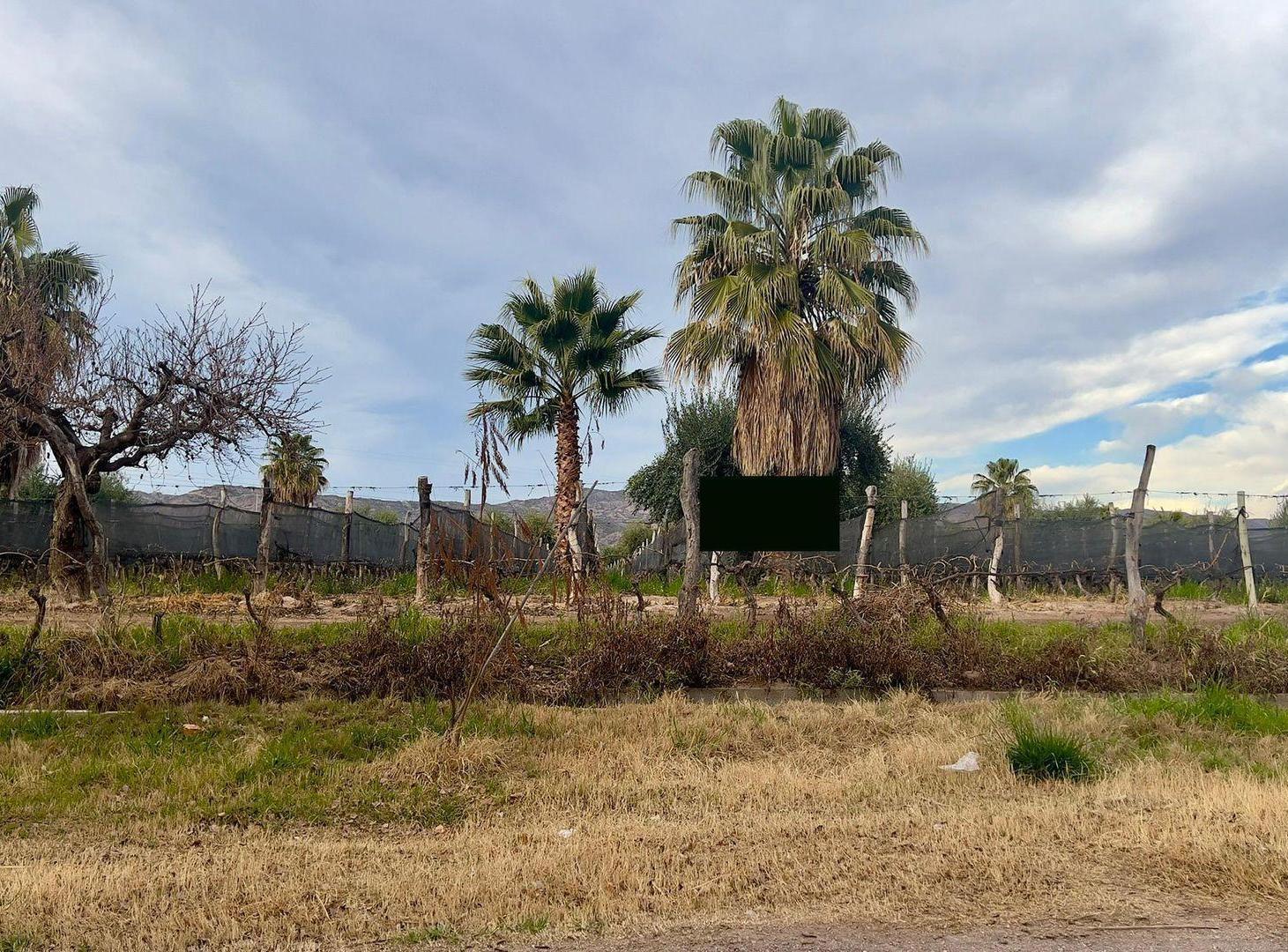 Foto de VENTA FINCA 27.000 m2, LUNLUNTA MAIPU, imagen 2