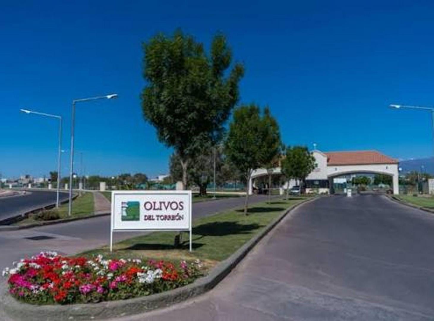 Foto de Venta Terreno Bº Privado Olivos del Torreón- 453m2, imagen 3