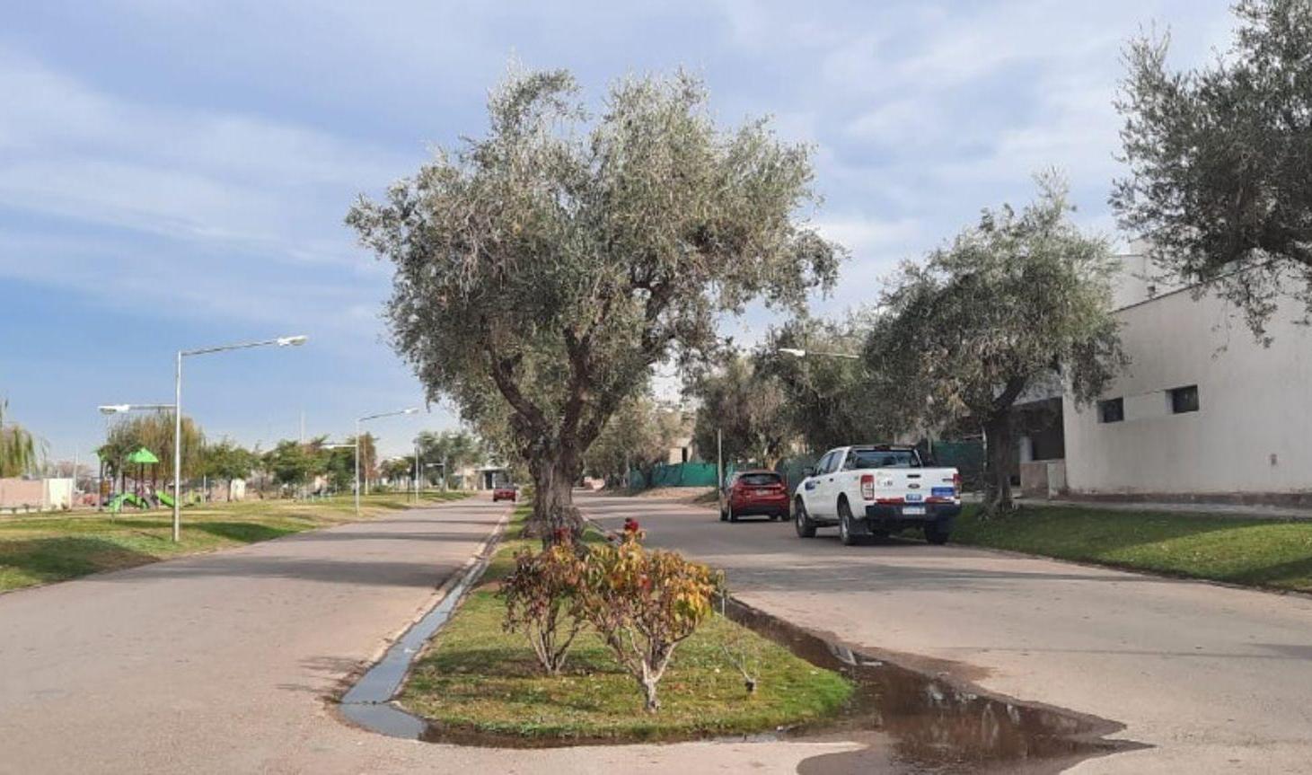 Foto de Venta Terreno Bº Privado Olivos del Torreón- 453m2, imagen 2
