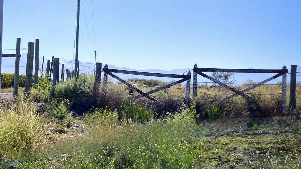 Foto de Venta de 75 hectáreas sobre Ruta 89 Tupungato, imagen 1