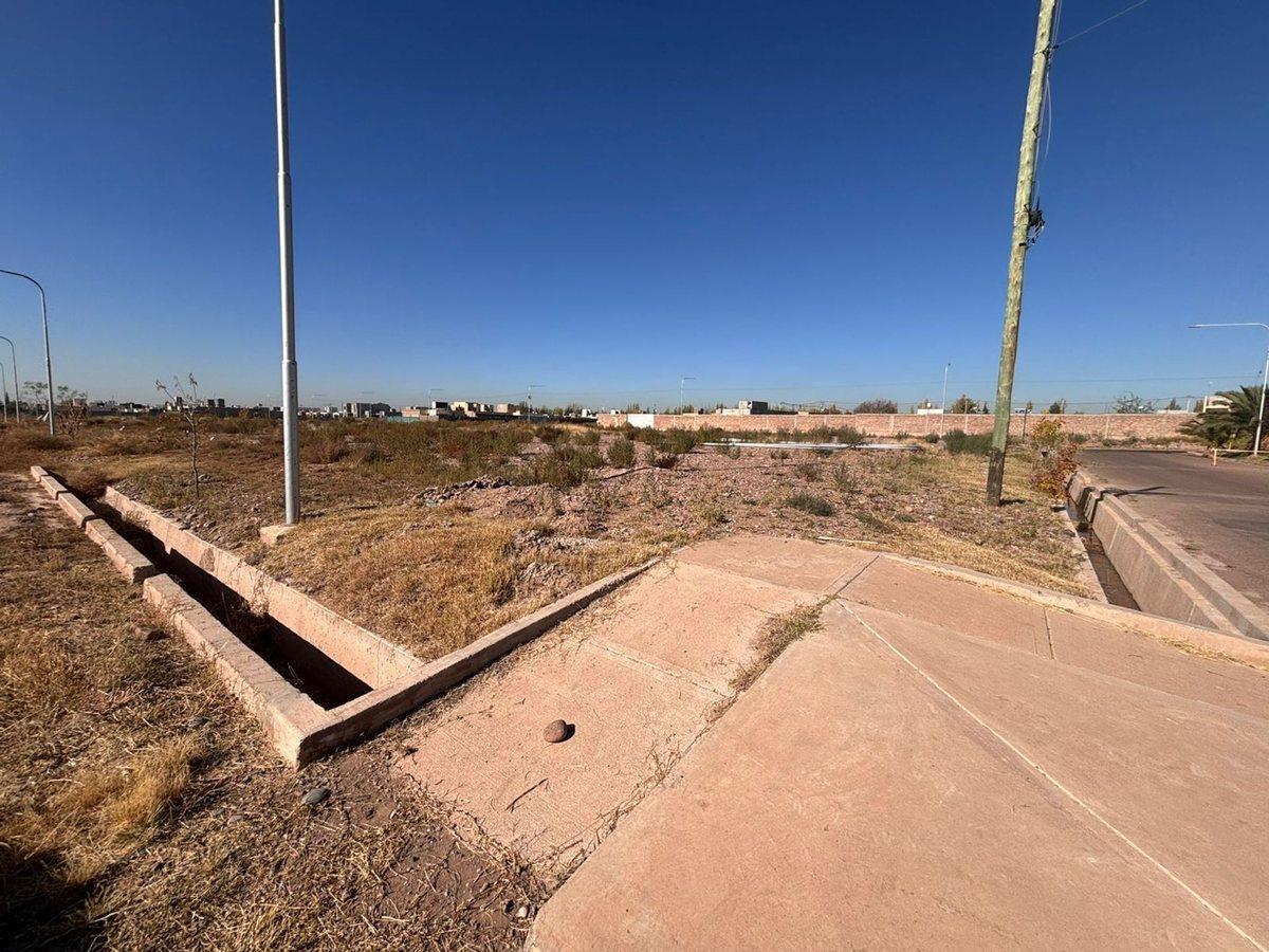 Foto de VENTA LOTE VIEJO TONEL II, imagen 3
