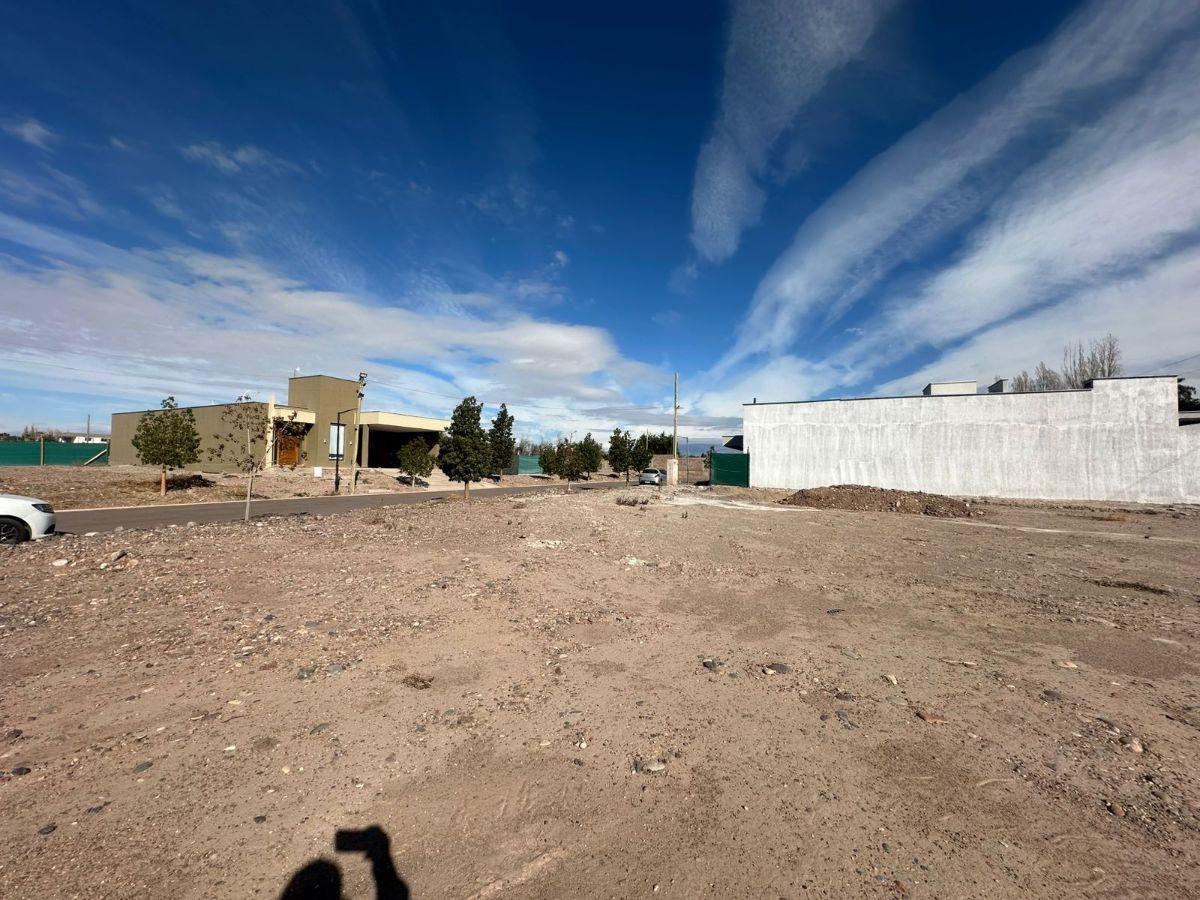 Foto de VENTA LOTE B° PRIVADO LAS TACAS - MAIPU, imagen 1