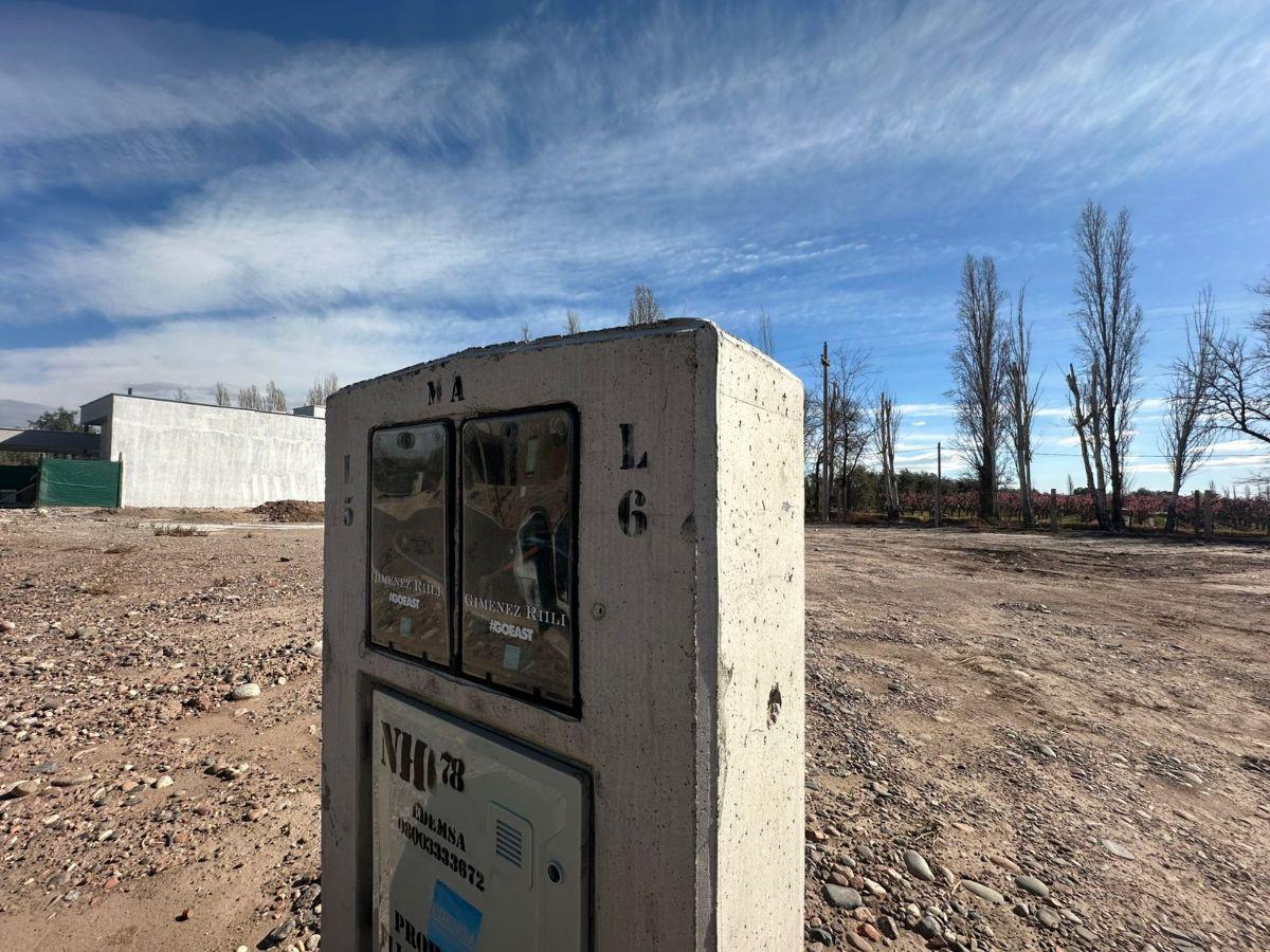 Foto de VENTA LOTE B° PRIVADO LAS TACAS - MAIPU, imagen 3