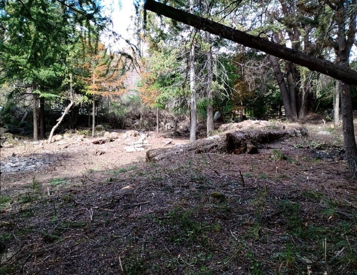 Foto de Terreno de 2268 m² en venta en Villa Traful, imagen 2
