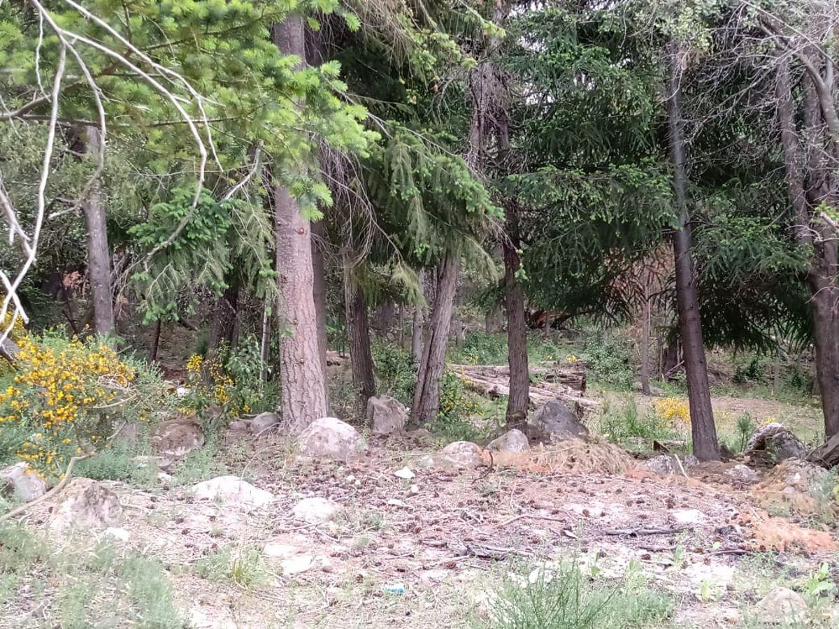 Foto de Terreno de 2268 m² en venta en Villa Traful, imagen 4
