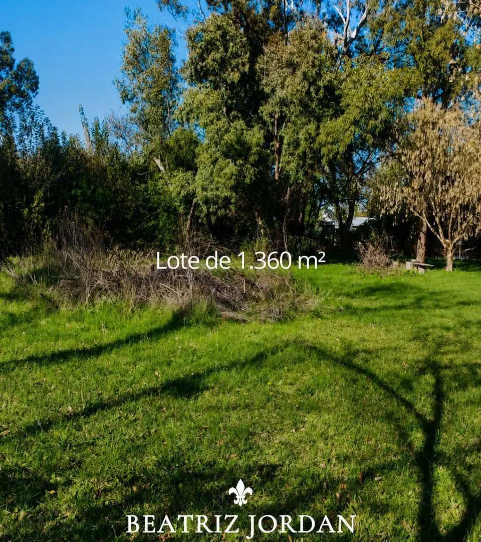 TERRENO A LA VENTA EN LOS CARADALES USO COMERCIAL 2