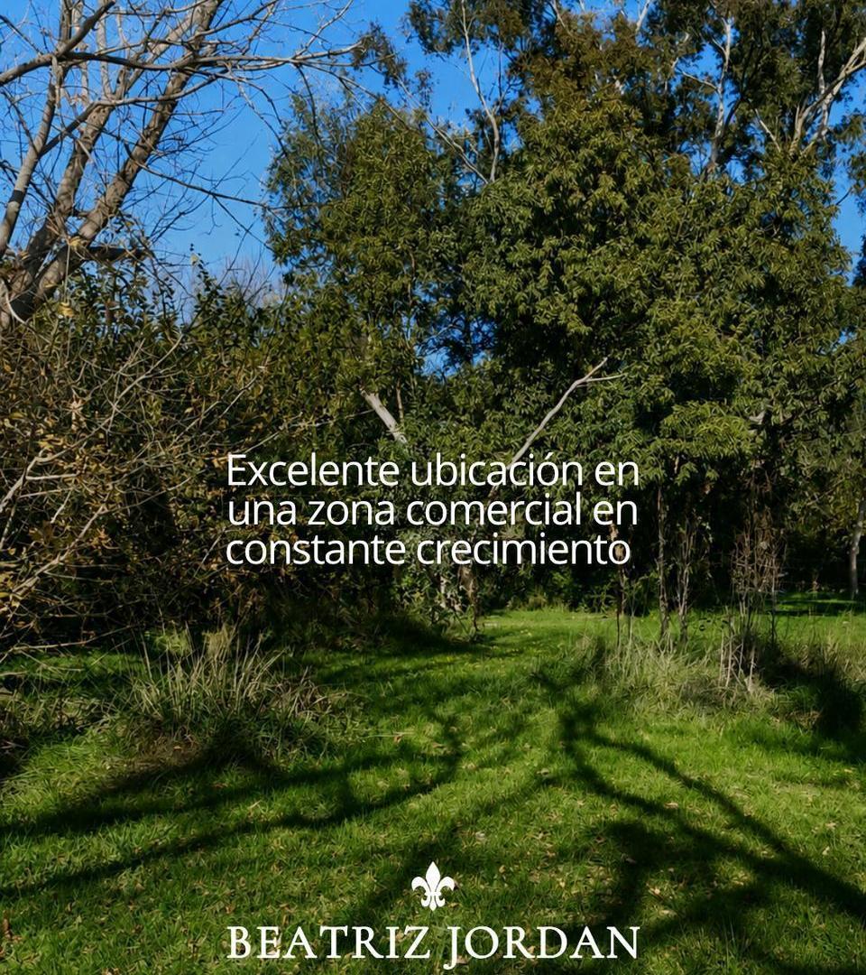 TERRENO A LA VENTA EN LOS CARADALES USO COMERCIAL