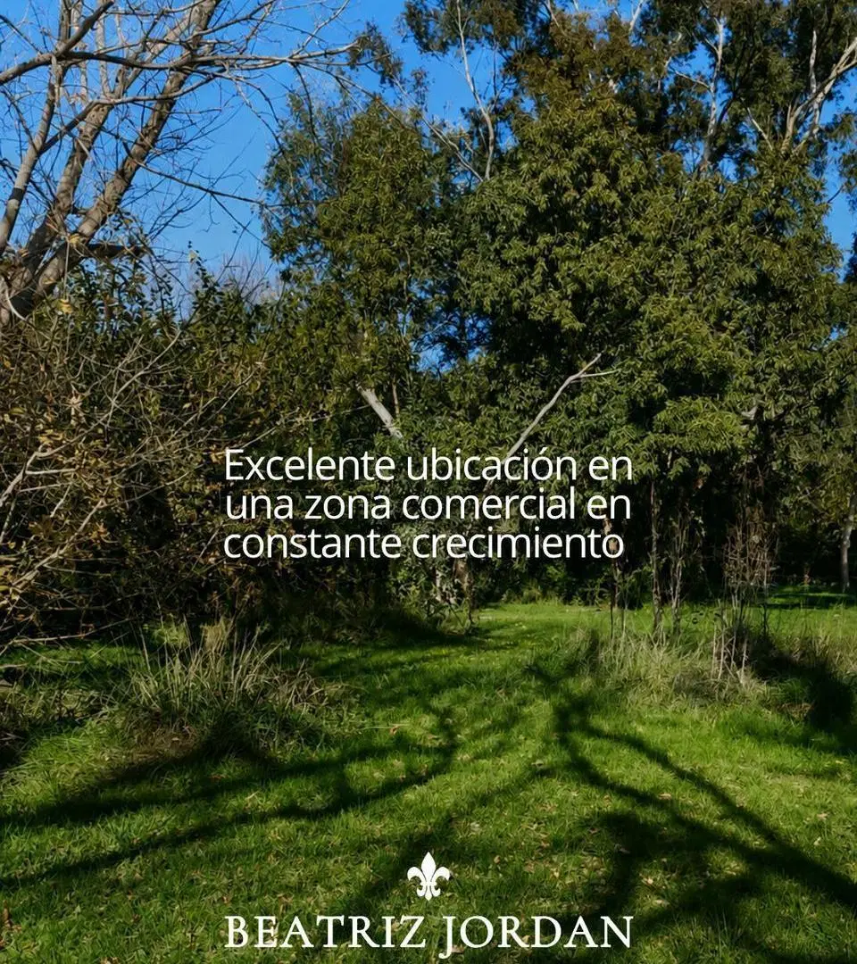 TERRENO A LA VENTA EN LOS CARADALES USO COMERCIAL 4