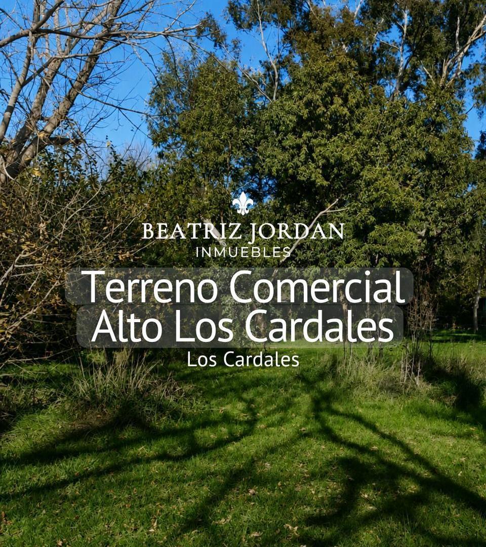 TERRENO A LA VENTA EN LOS CARADALES USO COMERCIAL