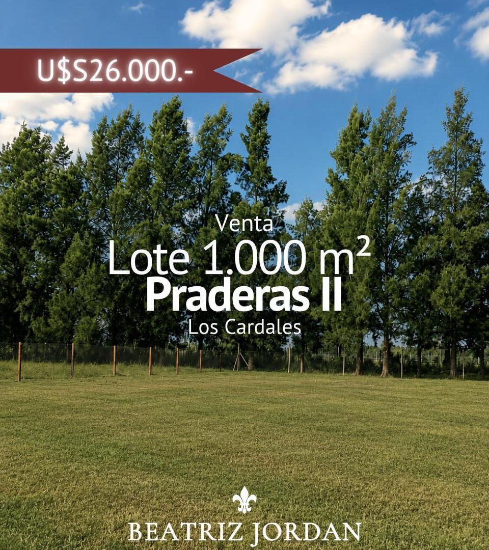 Foto de TERRENO EN VENTA, PRADERAS 2, LOS CARDALES, imagen 1