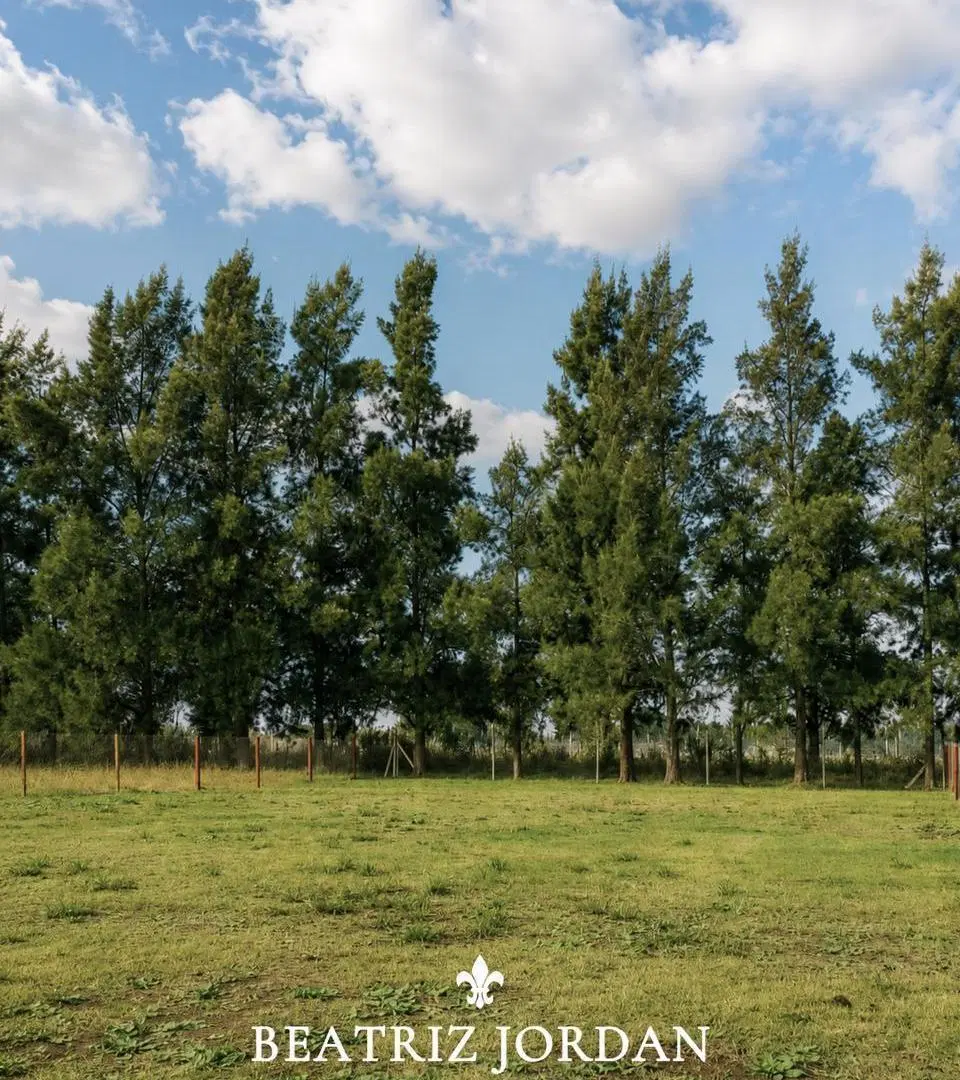 TERRENO EN VENTA, PRADERAS 2, LOS CARDALES 4