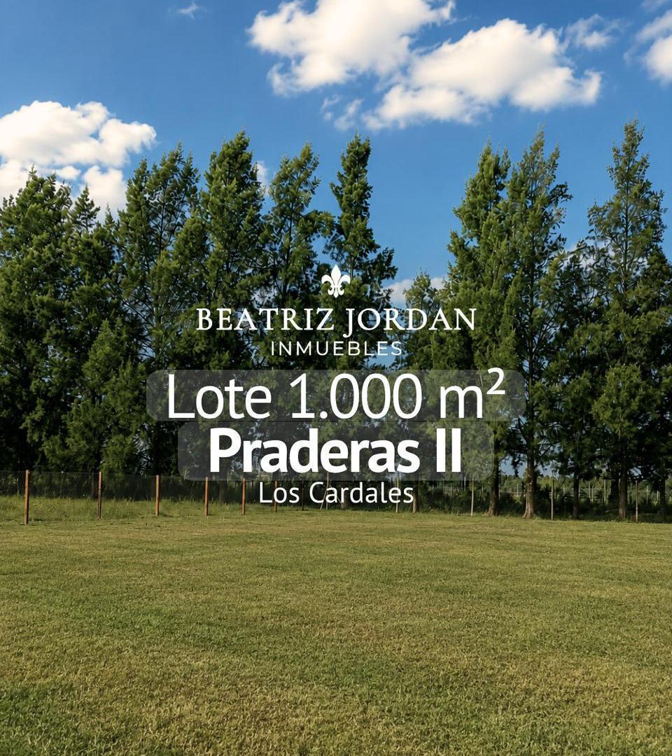 Foto de TERRENO EN VENTA, PRADERAS 2, LOS CARDALES, imagen 3
