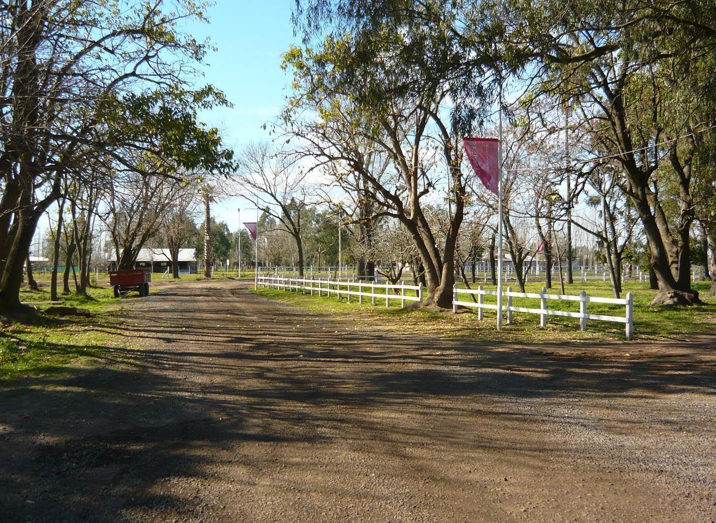 Foto de Terreno de 400m2 - Campiñas de Piñero, imagen 5