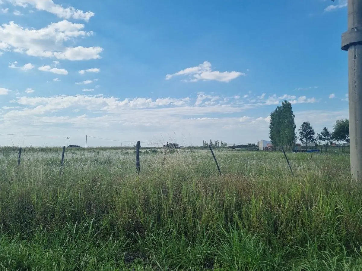 Venta Terreno en Alvares, 2 Hectareas. 4
