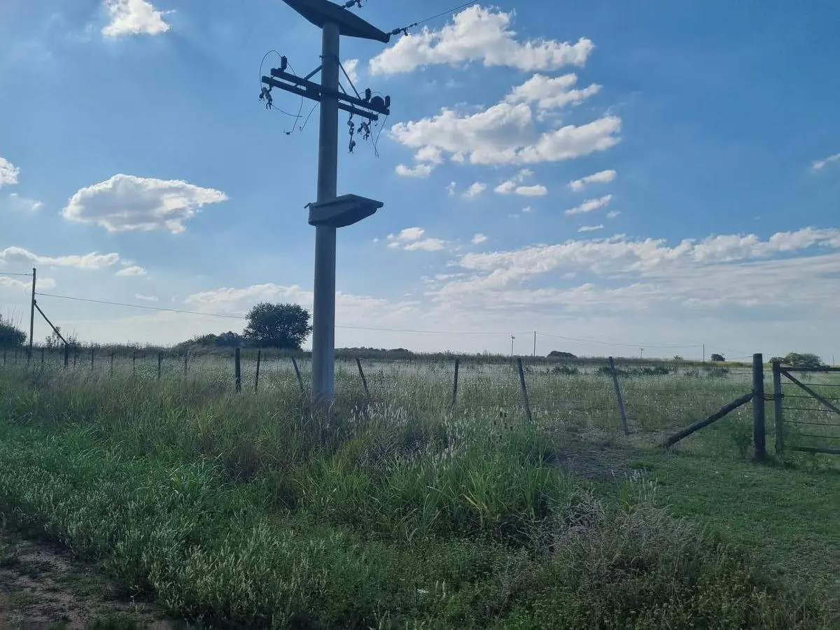 Venta Terreno en Alvares, 2 Hectareas. 5