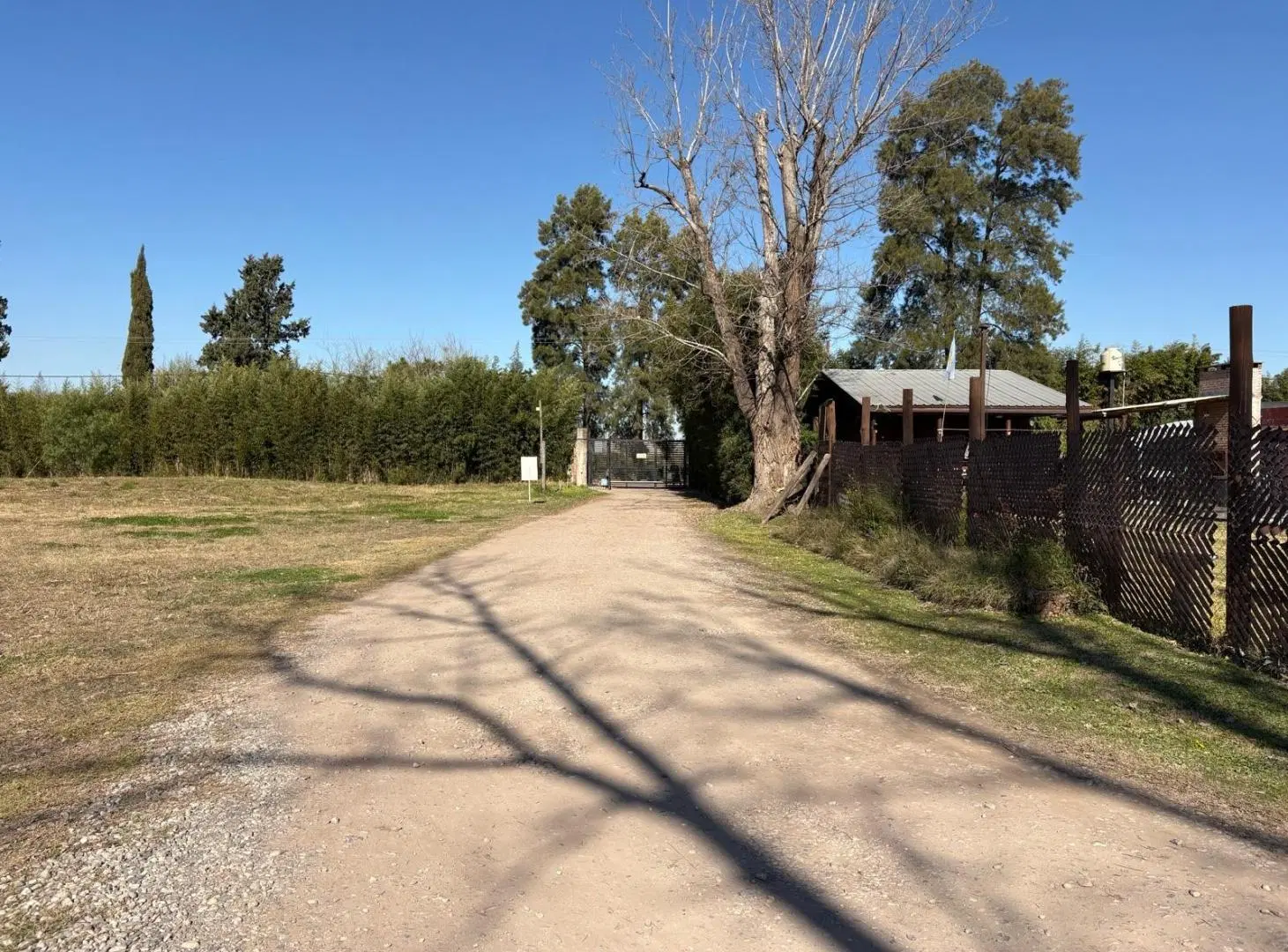 Terreno escriturado y forestado en Campos de Ibarlucea Divisible 6