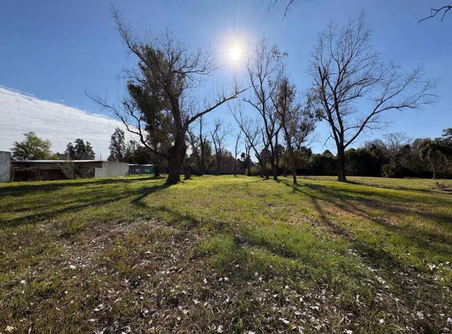 Terreno escriturado y forestado en Campos de Ibarlucea Divisible 5