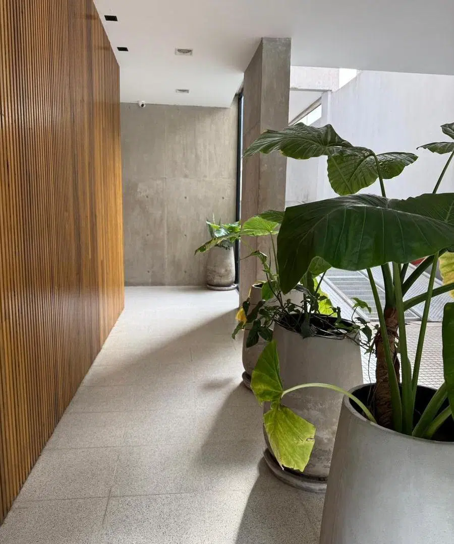 Departamento en San Martin 4