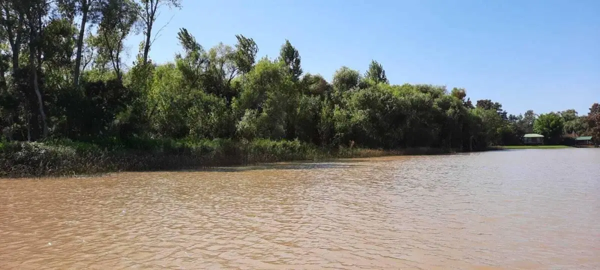 Lote Terreno en Canal del Este - 21m Frente - Escritura Inmediata 2