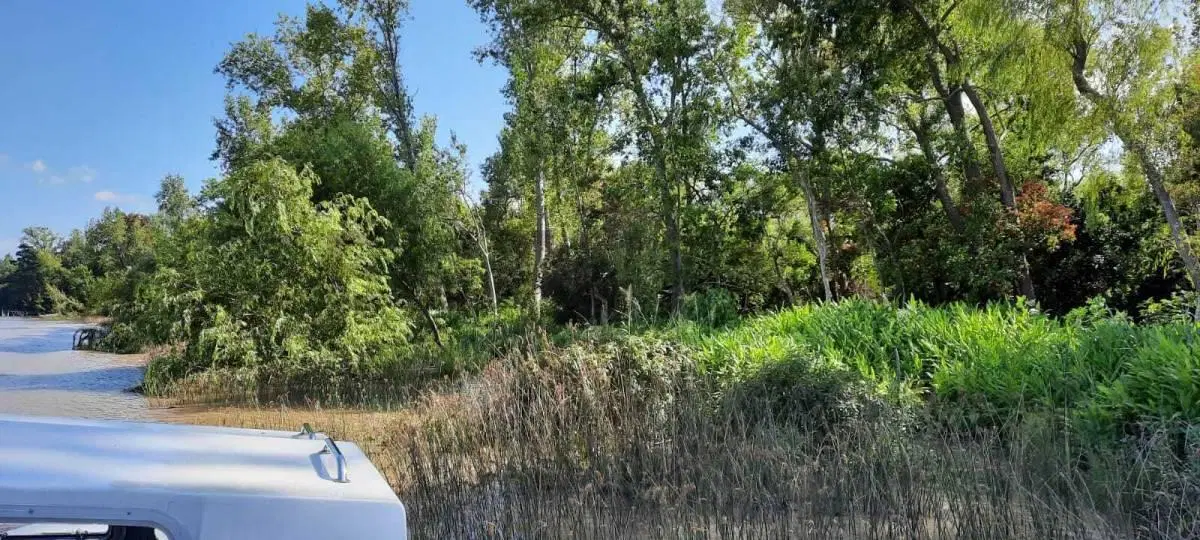 Lote Terreno en Canal del Este - 21m Frente - Escritura Inmediata 3
