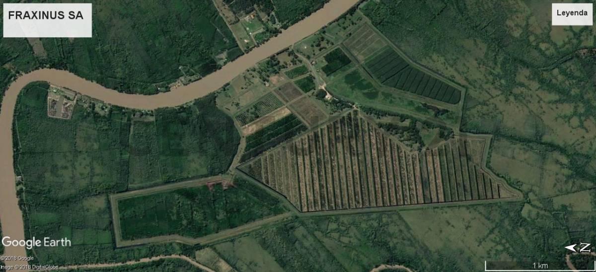 Venta 449 Hectáreas – Paraná Miní - Delta de San Fernando