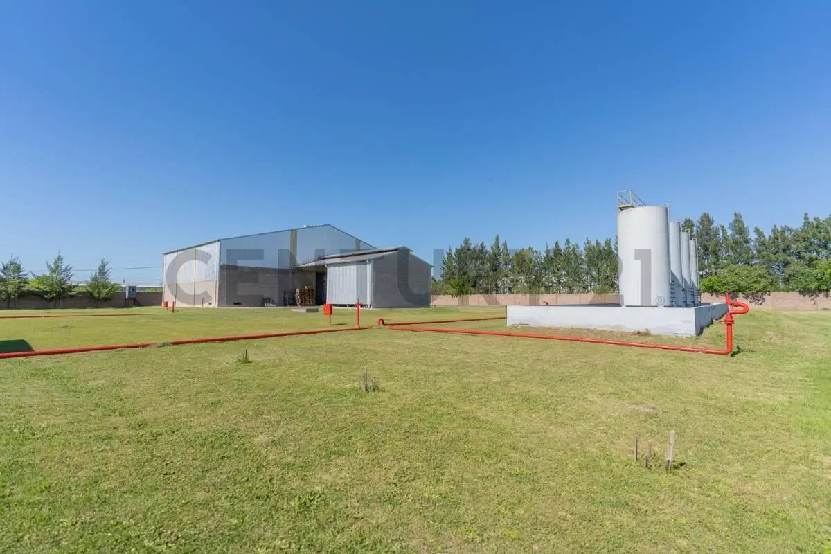 ALQUILER - GALPON - PLANTA INDUSTRIAL - ZARATE 4