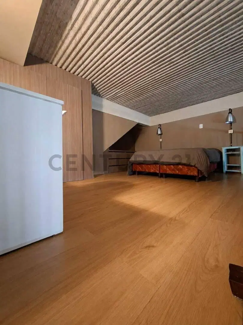 Venta de Loft con gran amplitud y confort, San Telmo 5
