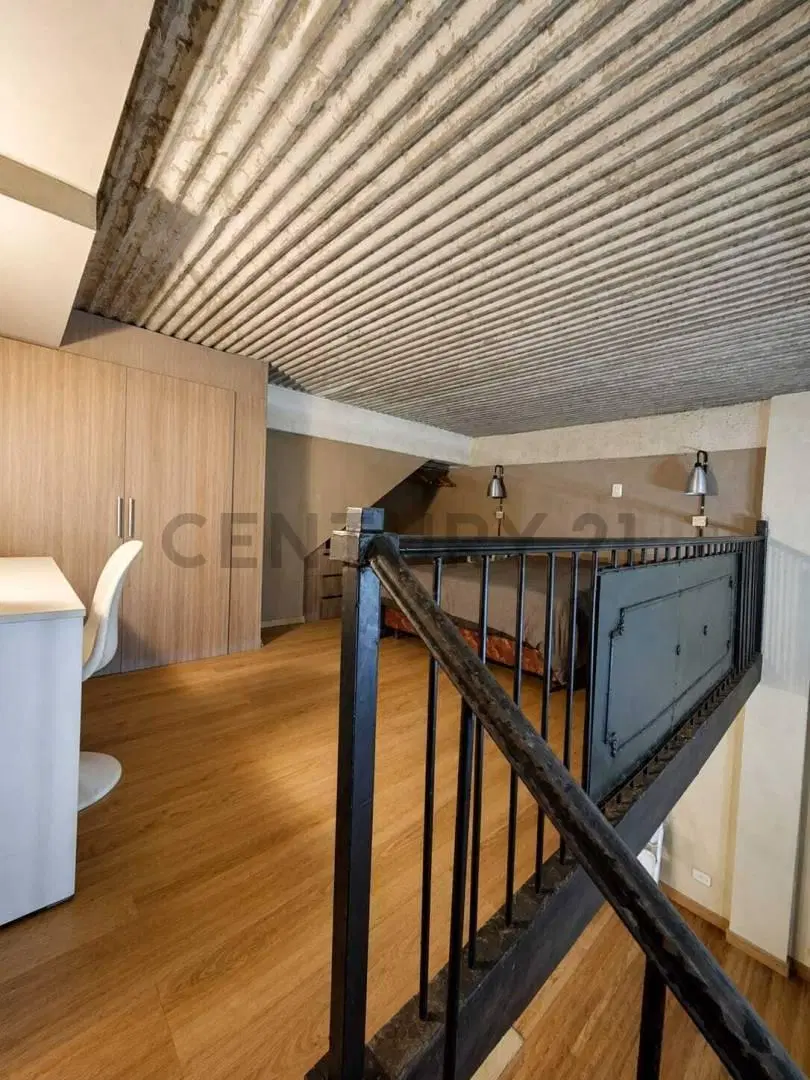 Venta de Loft con gran amplitud y confort, San Telmo 4