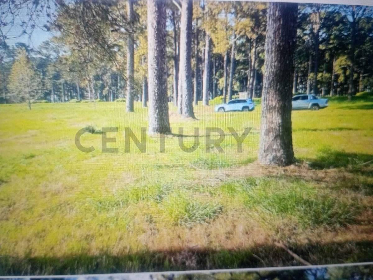 Foto de VENTA LOTE PINARES COUNTRY CLUB, imagen 4