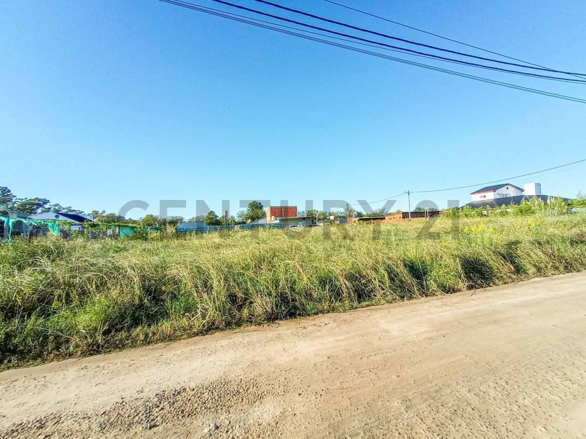 Foto de VENTA - LOTE - Fincas de Escobar, imagen 1
