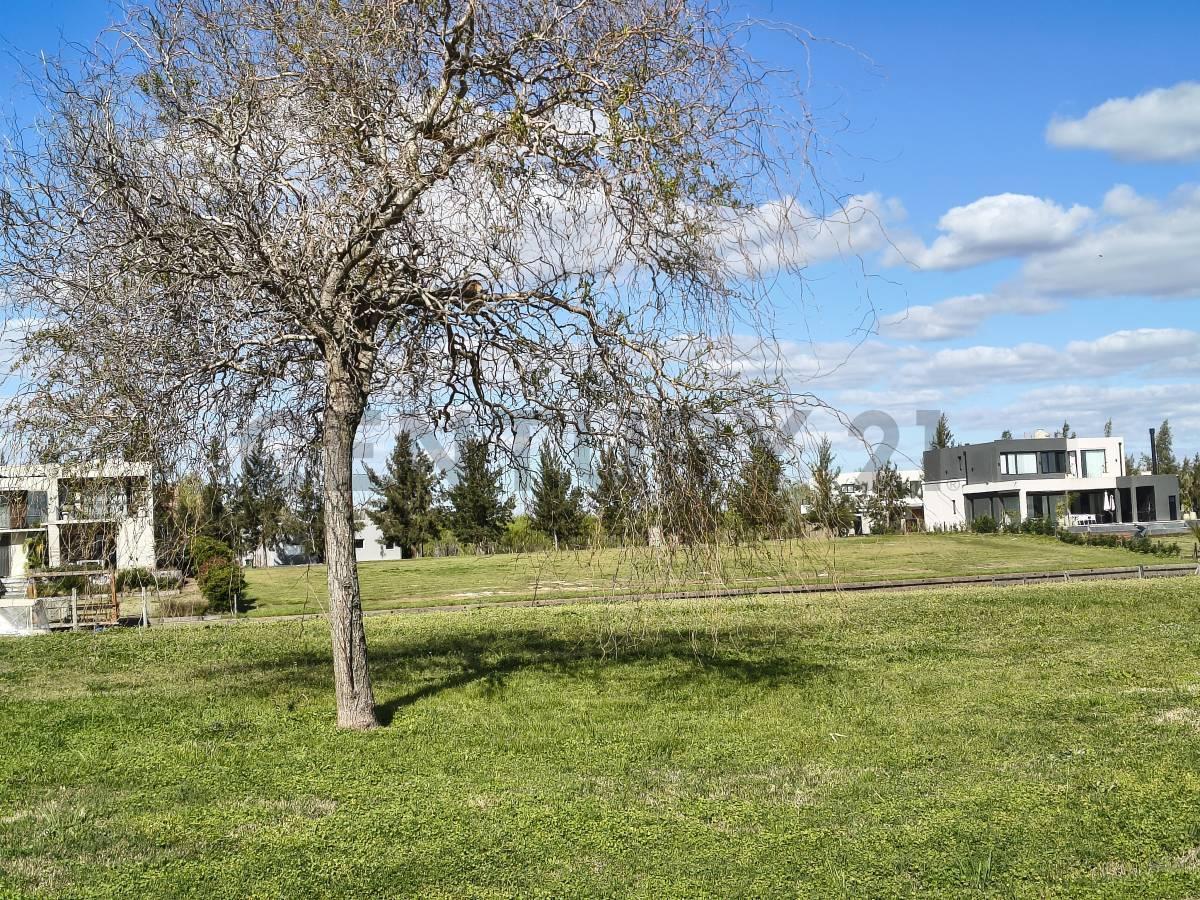 Foto de Venta lote al agua con salida al Rio Lujan - El naudir E2, imagen 2