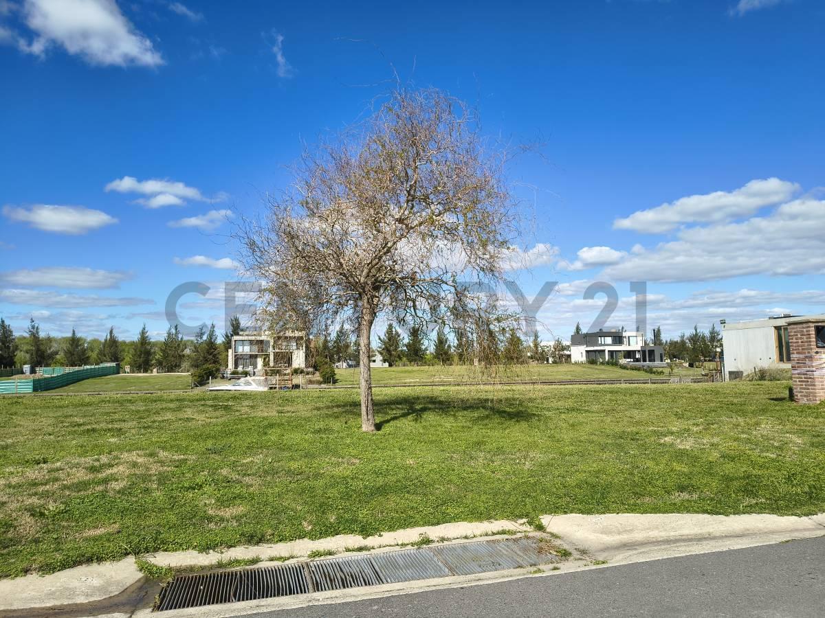Foto de Venta lote al agua con salida al Rio Lujan - El naudir E2, imagen 4
