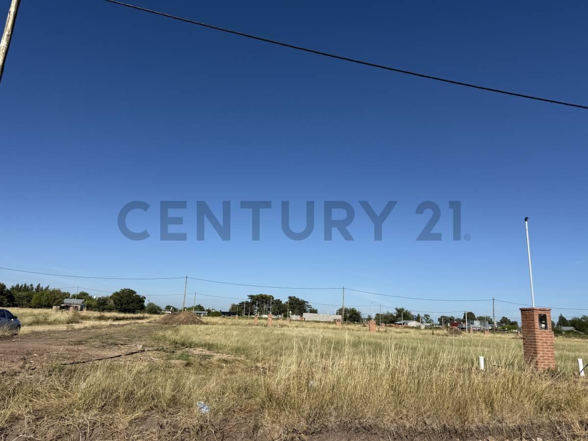 Foto de LOTE EN VENTA EN ZELAYA 3, imagen 3