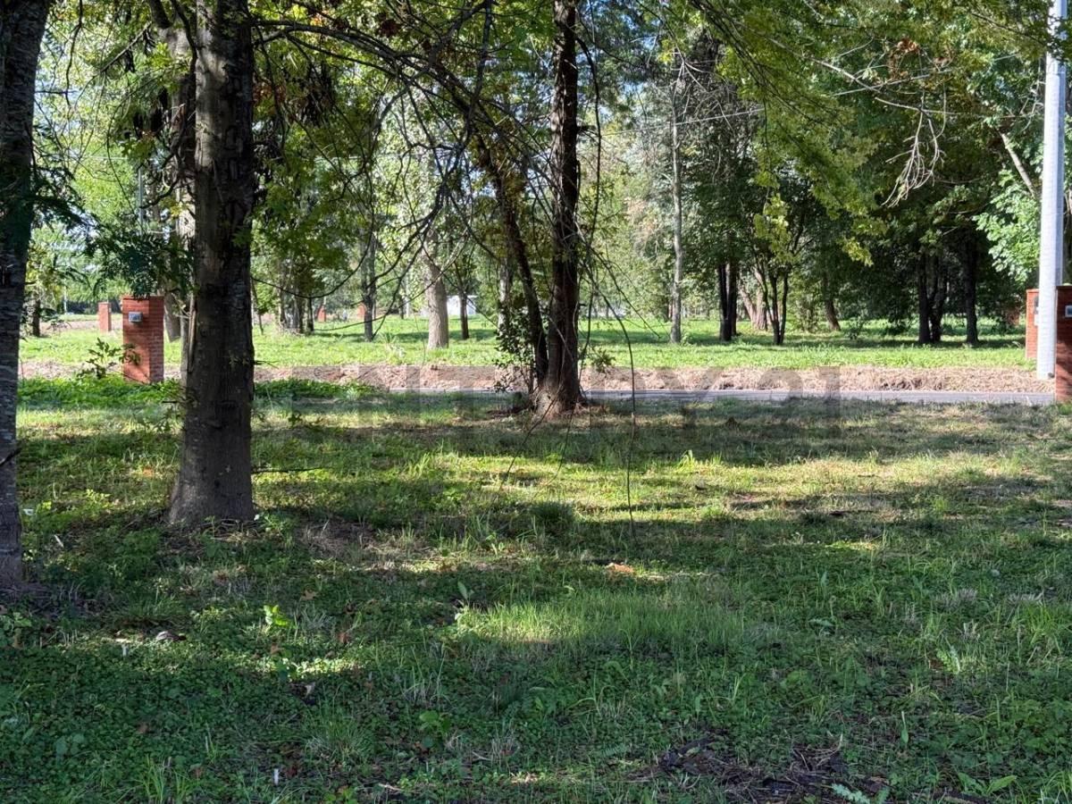 Foto de VENTA LOTE INTERNO BARRIO PAMPA PILAR, imagen 2