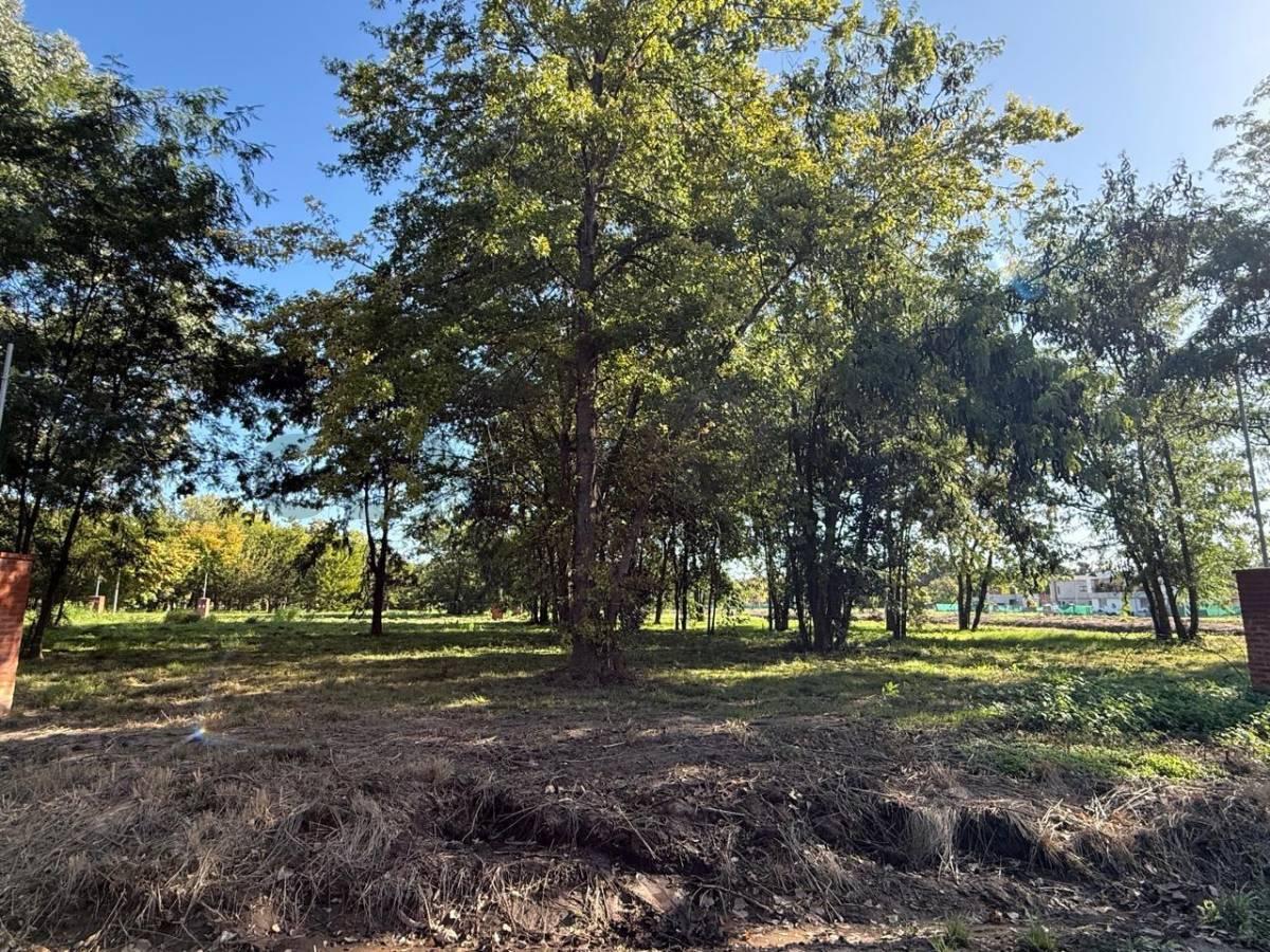 Foto de VENTA LOTE INTERNO BARRIO PAMPA PILAR, imagen 2