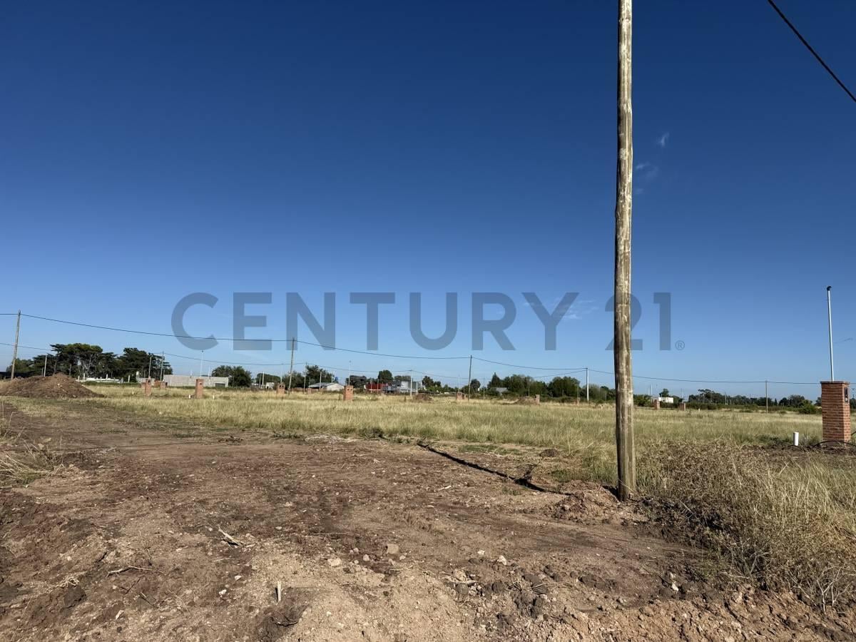 Foto de LOTE EN VENTA EN ZELAYA 3, imagen 2