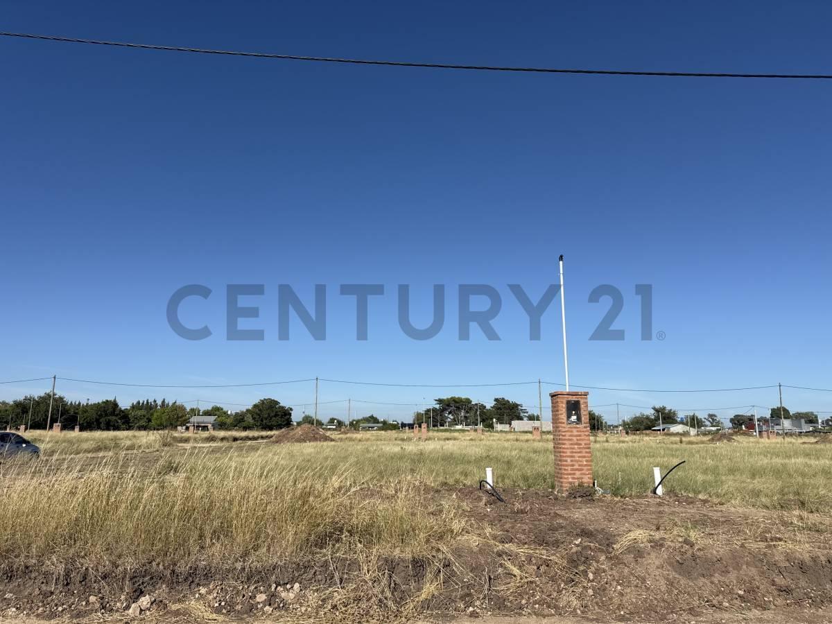 Foto de LOTE EN VENTA EN ZELAYA 3, imagen 3