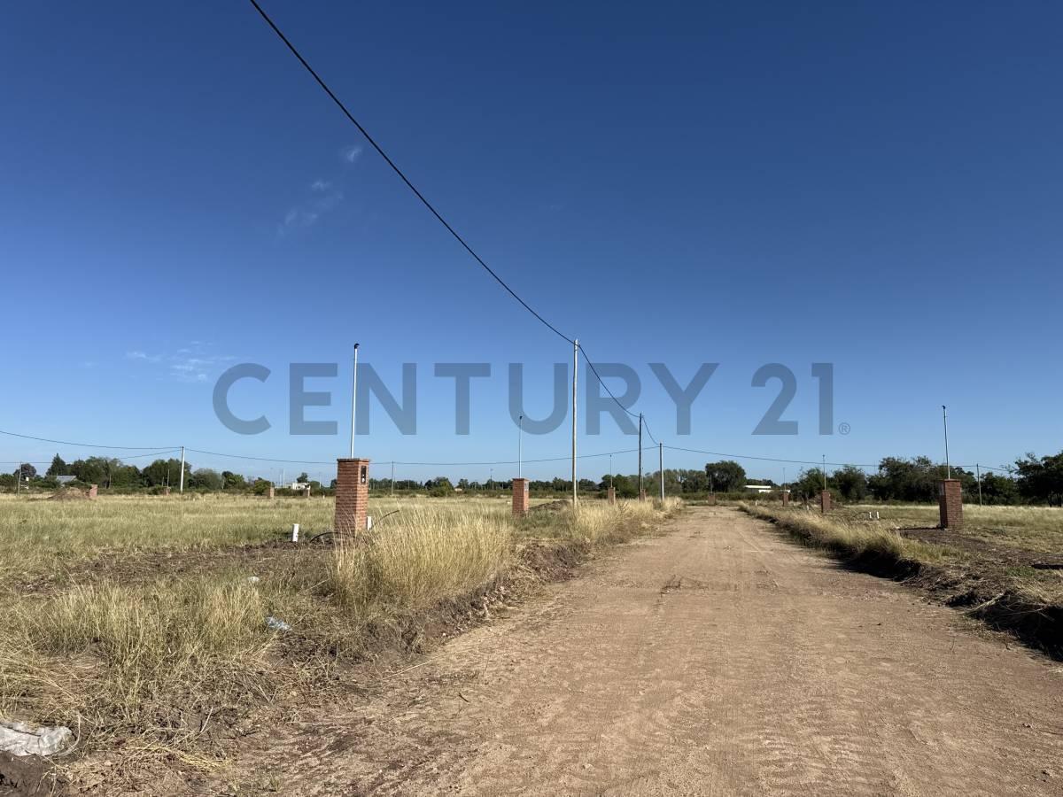 Foto de LOTE EN VENTA EN ZELAYA 3, imagen 4