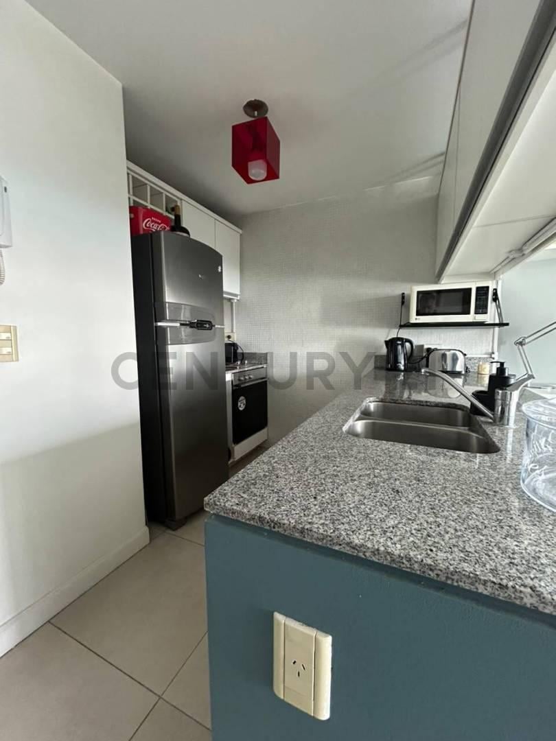 Foto de Alquiler Dto Monoambiente en Barracas Terraza Exclusiva c Parrilla, imagen 2