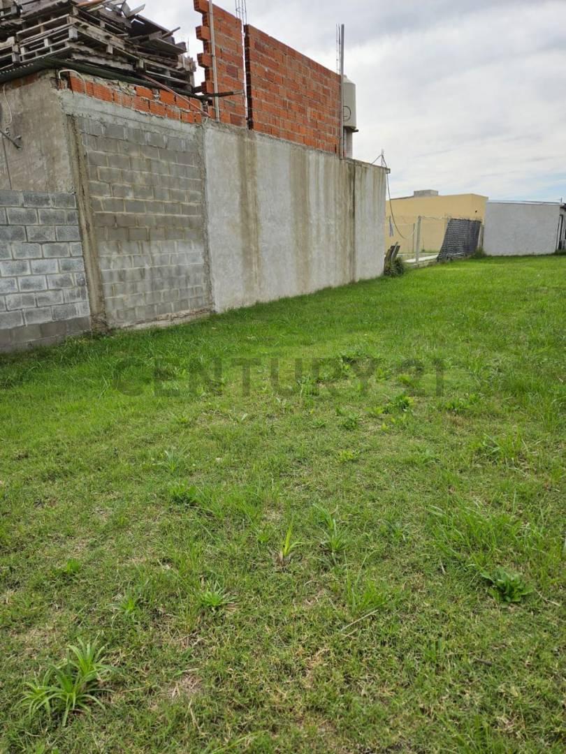 Foto de VENTA DE LOTE EN PETION CHICO, CANNING, imagen 3