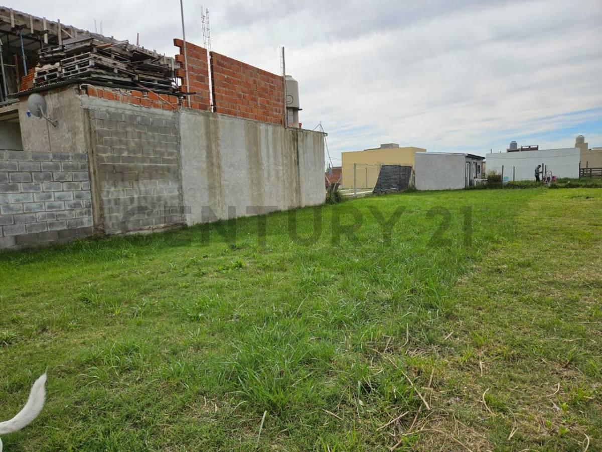 Foto de VENTA DE LOTE EN PETION CHICO, CANNING, imagen 4